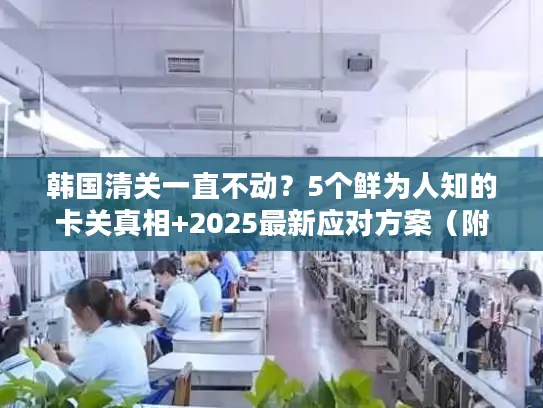 韩国清关一直不动？5个鲜为人知的卡关真相+2025最新应对方案（附实战案例）