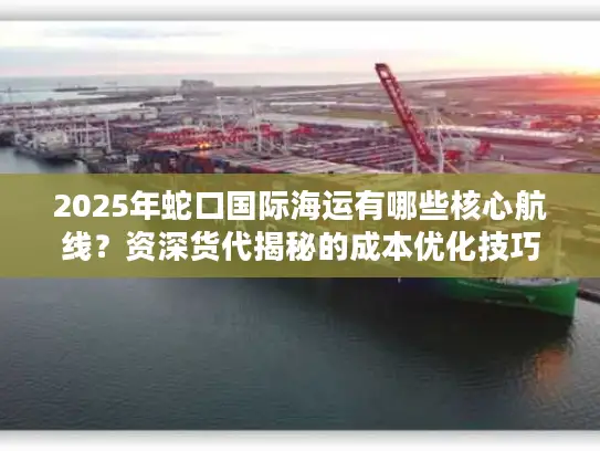 2025年蛇口国际海运有哪些核心航线？资深货代揭秘的成本优化技巧