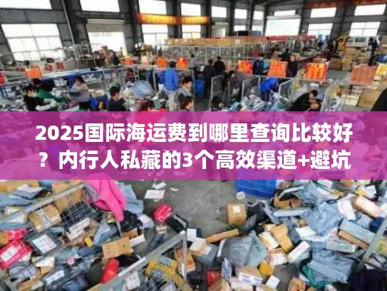 2025国际海运费到哪里查询比较好？内行人私藏的3个高效渠道+避坑技巧