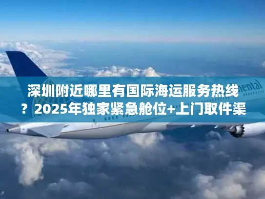 深圳附近哪里有国际海运服务热线？2025年独家紧急舱位+上门取件渠道揭秘