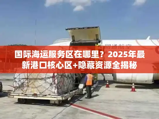 国际海运服务区在哪里？2025年最新港口核心区+隐藏资源全揭秘
