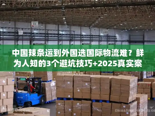 中国辣条运到外国选国际物流难？鲜为人知的3个避坑技巧+2025真实案例拆解