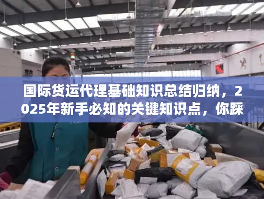国际货运代理基础知识总结归纳，2025年新手必知的关键知识点，你踩过这些坑吗？