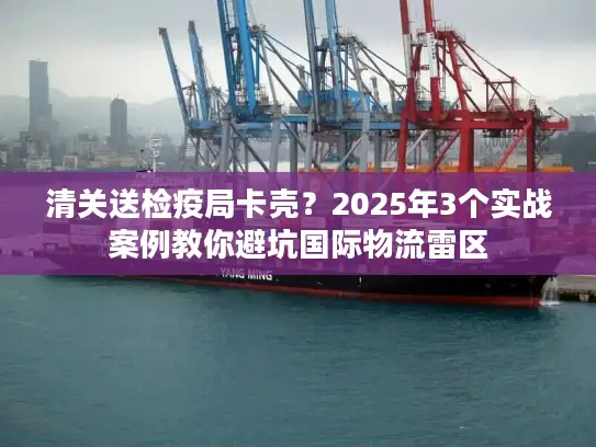 清关送检疫局卡壳？2025年3个实战案例教你避坑国际物流雷区