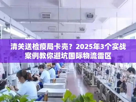清关送检疫局卡壳？2025年3个实战案例教你避坑国际物流雷区