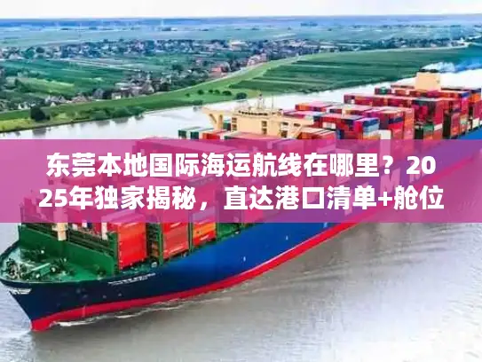 东莞本地国际海运航线在哪里？2025年独家揭秘，直达港口清单+舱位预订技巧