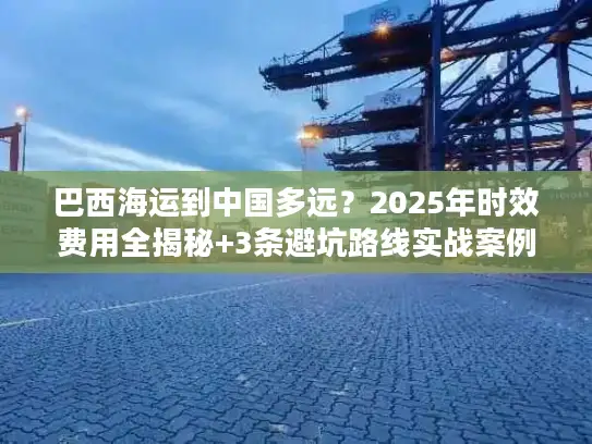 巴西海运到中国多远？2025年时效费用全揭秘+3条避坑路线实战案例