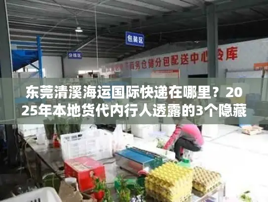 东莞清溪海运国际快递在哪里？2025年本地货代内行人透露的3个隐藏网点+省钱技巧