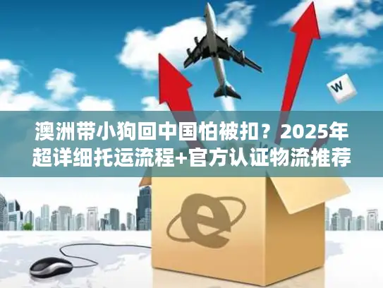 澳洲带小狗回中国怕被扣？2025年超详细托运流程+官方认证物流推荐