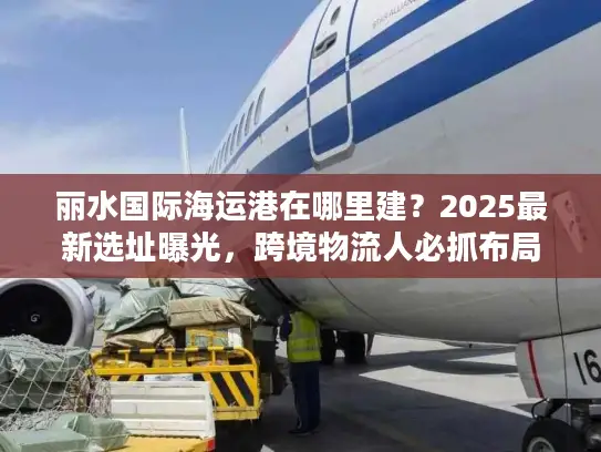 丽水国际海运港在哪里建？2025最新选址曝光，跨境物流人必抓布局机遇
