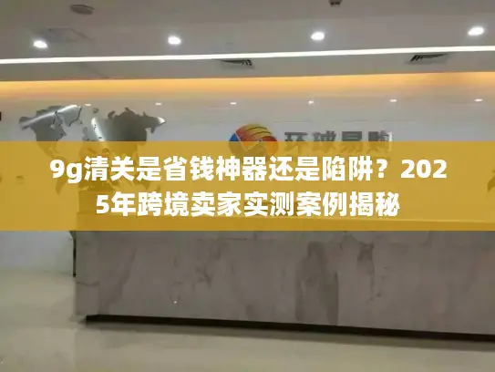 9g清关是省钱神器还是陷阱？2025年跨境卖家实测案例揭秘