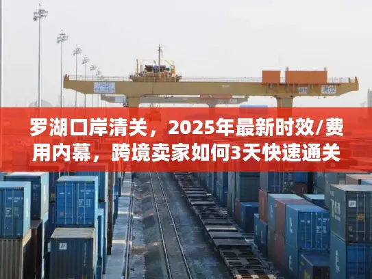 罗湖口岸清关，2025年最新时效/费用内幕，跨境卖家如何3天快速通关？