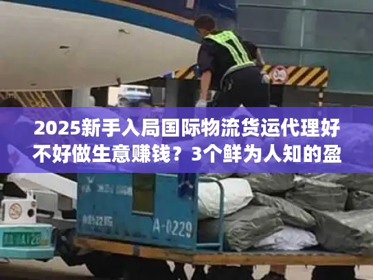 2025新手入局国际物流货运代理好不好做生意赚钱？3个鲜为人知的盈利密码