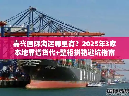 嘉兴国际海运哪里有？2025年3家本地靠谱货代+整柜拼箱避坑指南