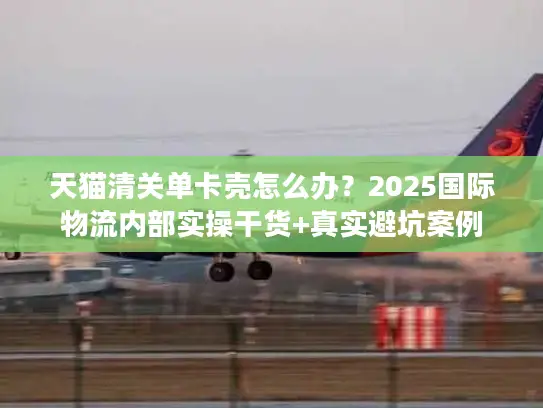 天猫清关单卡壳怎么办？2025国际物流内部实操干货+真实避坑案例