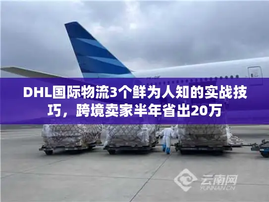 DHL国际物流3个鲜为人知的实战技巧，跨境卖家半年省出20万