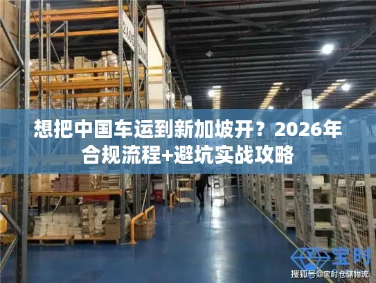 想把中国车运到新加坡开？2026年合规流程+避坑实战攻略