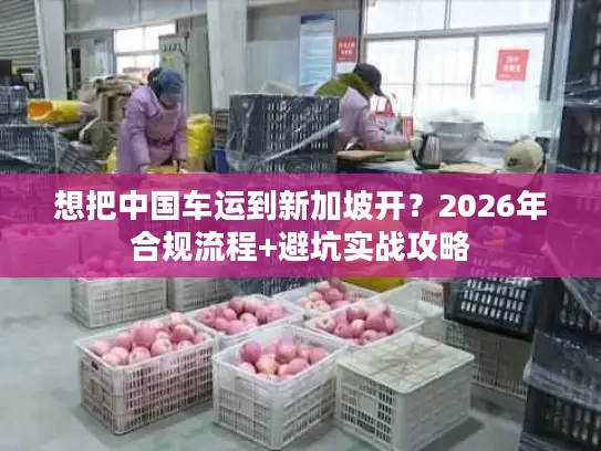 想把中国车运到新加坡开？2026年合规流程+避坑实战攻略