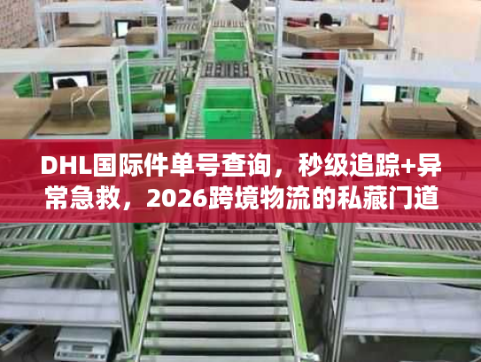 DHL国际件单号查询，秒级追踪+异常急救，2026跨境物流的私藏门道