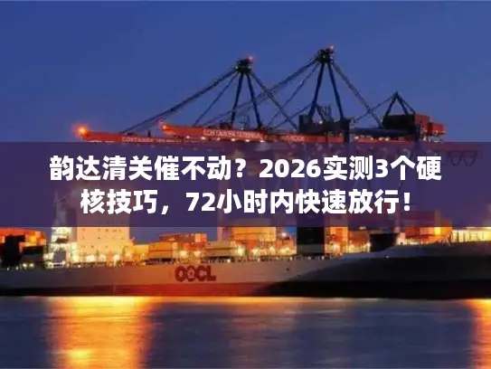 韵达清关催不动？2026实测3个硬核技巧，72小时内快速放行！