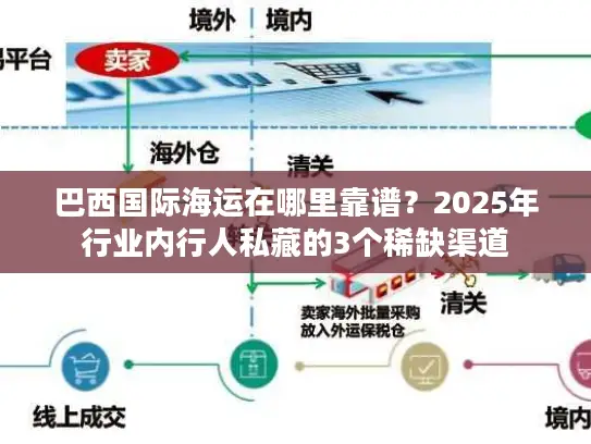 巴西国际海运在哪里靠谱？2025年行业内行人私藏的3个稀缺渠道