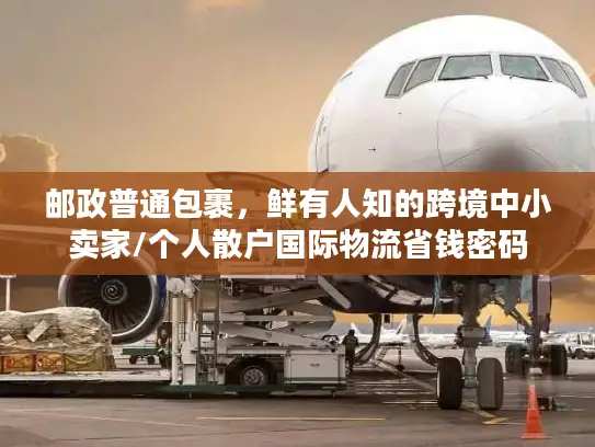 邮政普通包裹，鲜有人知的跨境中小卖家/个人散户国际物流省钱密码