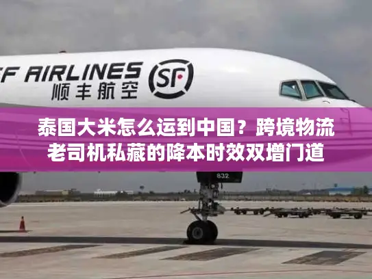 泰国大米怎么运到中国？跨境物流老司机私藏的降本时效双增门道