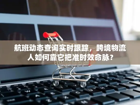航班动态查询实时跟踪，跨境物流人如何靠它把准时效命脉？