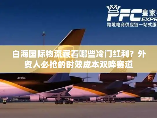 白海国际物流藏着哪些冷门红利？外贸人必抢的时效成本双降赛道