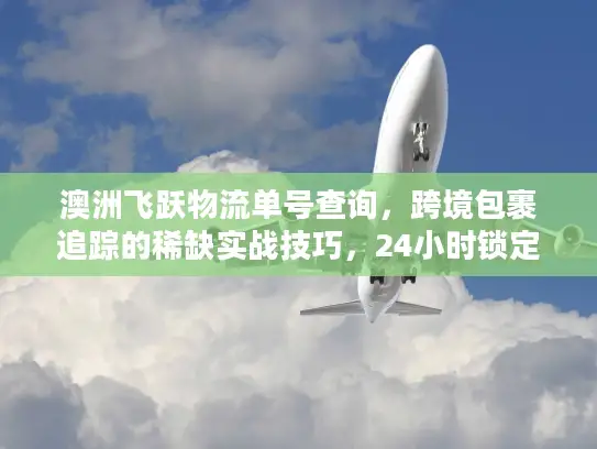 澳洲飞跃物流单号查询，跨境包裹追踪的稀缺实战技巧，24小时锁定包裹动态