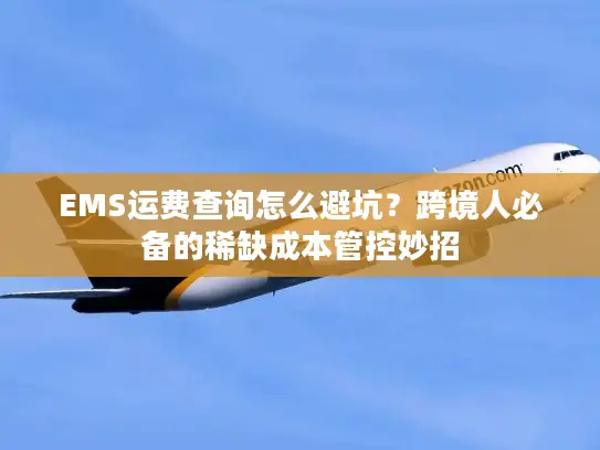 EMS运费查询怎么避坑？跨境人必备的稀缺成本管控妙招