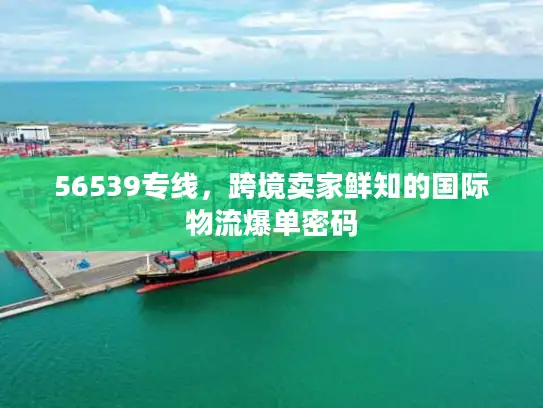 56539专线，跨境卖家鲜知的国际物流爆单密码