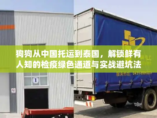 狗狗从中国托运到泰国，解锁鲜有人知的检疫绿色通道与实战避坑法