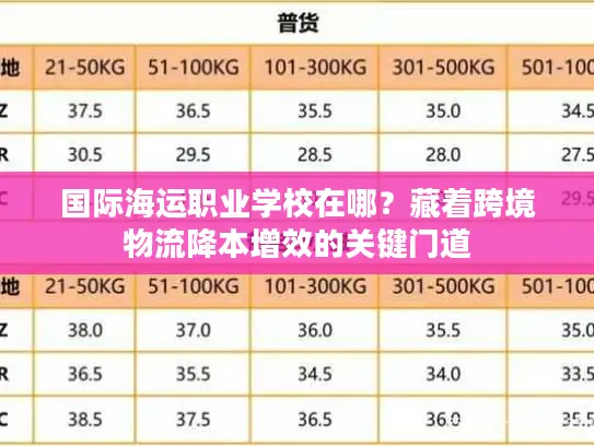 国际海运职业学校在哪？藏着跨境物流降本增效的关键门道