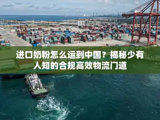 进口奶粉怎么运到中国？揭秘少有人知的合规高效物流门道