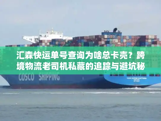 汇森快运单号查询为啥总卡壳？跨境物流老司机私藏的追踪与避坑秘籍