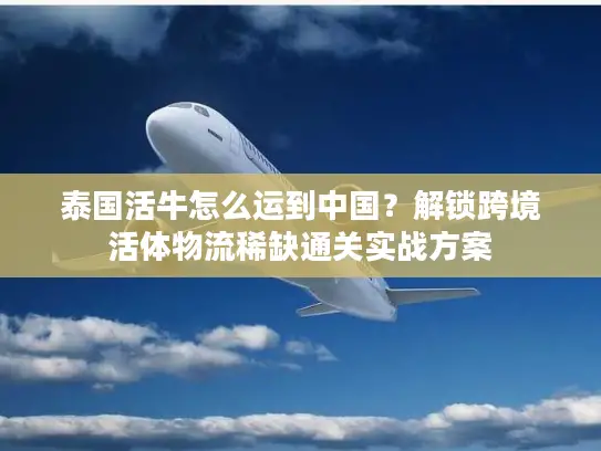 泰国活牛怎么运到中国？解锁跨境活体物流稀缺通关实战方案