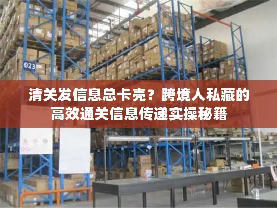 清关发信息总卡壳？跨境人私藏的高效通关信息传递实操秘籍