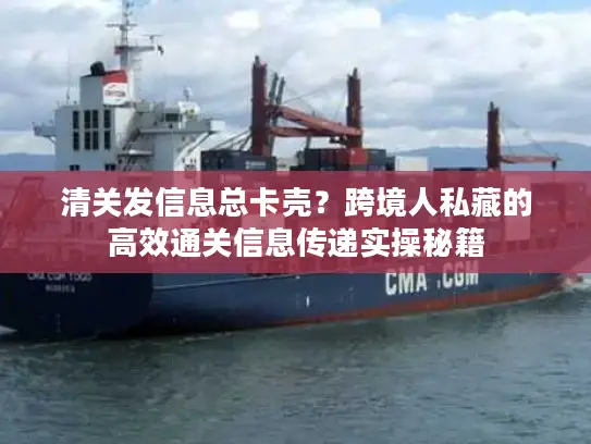 清关发信息总卡壳？跨境人私藏的高效通关信息传递实操秘籍