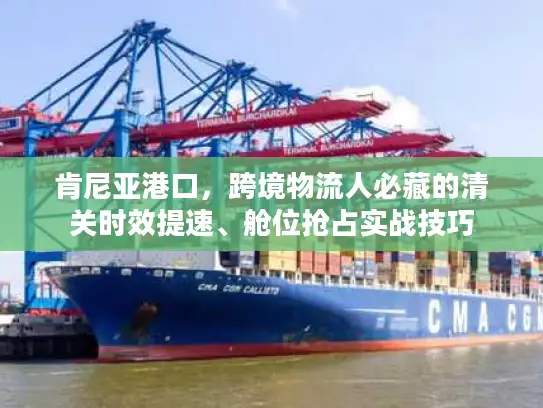 肯尼亚港口，跨境物流人必藏的清关时效提速、舱位抢占实战技巧