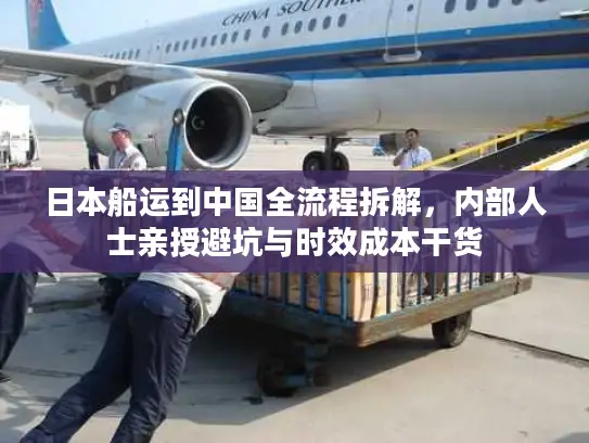 日本船运到中国全流程拆解，内部人士亲授避坑与时效成本干货