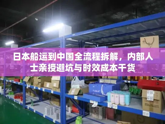 日本船运到中国全流程拆解，内部人士亲授避坑与时效成本干货