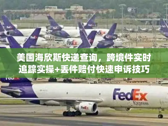 美国海欣斯快递查询,跨境件实时追踪实操+丢件赔付快速申诉技巧 美国海欣斯快递查询,跨境件实时追踪实操+丢件赔付快速申诉技巧