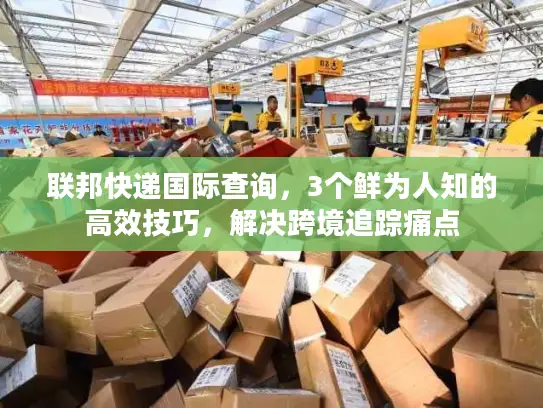 联邦快递国际查询，3个鲜为人知的高效技巧，解决跨境追踪痛点
