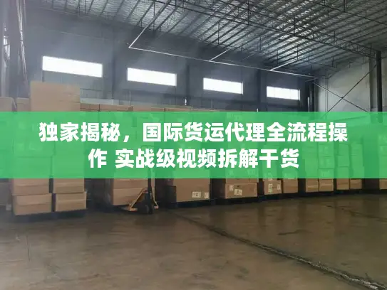 独家揭秘，国际货运代理全流程操作 实战级视频拆解干货