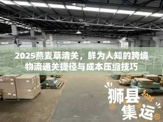 2025燕麦草清关，鲜为人知的跨境物流通关捷径与成本压缩技巧