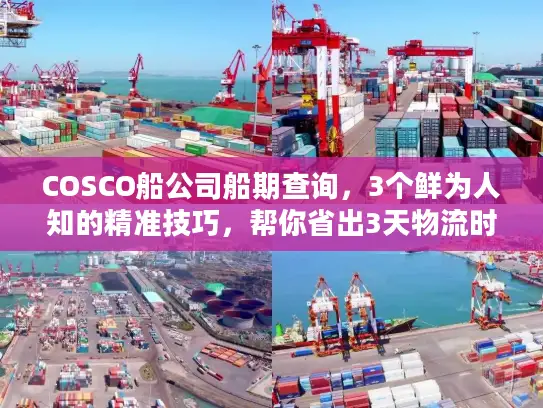 COSCO船公司船期查询，3个鲜为人知的精准技巧，帮你省出3天物流时效