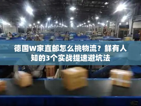 德国W家直邮怎么挑物流？鲜有人知的3个实战提速避坑法
