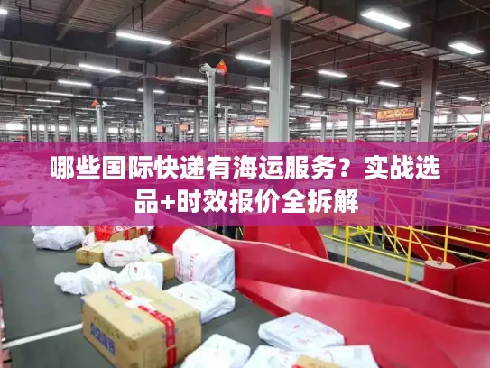 哪些国际快递有海运服务？实战选品+时效报价全拆解