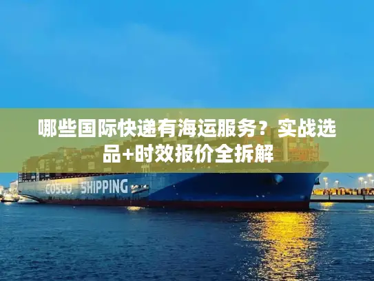 哪些国际快递有海运服务？实战选品+时效报价全拆解